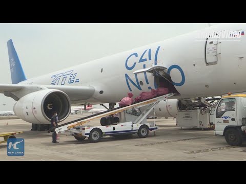 Correos de Chile and Cainiao Network join forces for Singles Day package deliveries