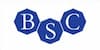 Logo of BSC group