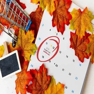 The biggest sale of the year is Singles' Day (World Shopping Day)