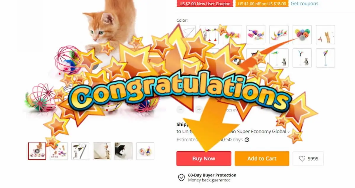 Congratulations You made a payment for the order on Aliexpress