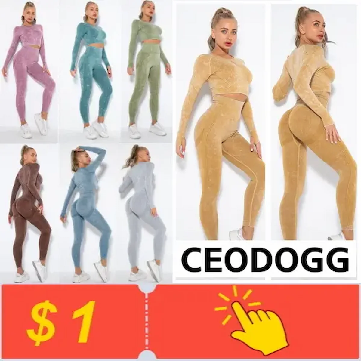 CEODOGG Outdoor Store Gear Display