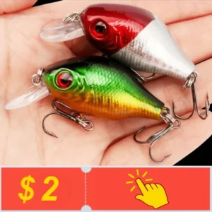 LidaFish Official Store Fishing Gear